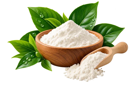 Ekstrak buah Garcinia cambogia dalam mangkuk kayu
